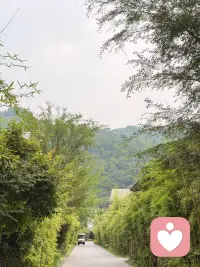 如果你累了、乏了、撑不住了，就来「源芳 | 疗愈小院」停留片刻吧。
我不催你、不评判你，安安静静陪你说说话，听你说心事🌿配图