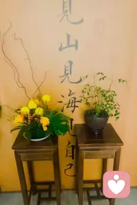 见山见海见天地，终要见自己。
愿你我都能保持一颗素心，认真对待每一个日出与日落，用心感悟每一场花开与花落！配图