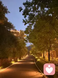 别人的认可，是最廉价的枷锁，成长不是变成别人，是在纷繁的世界里守住自我。配图