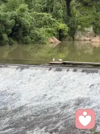 情绪是生命的体验会来就会走#情绪#生命的体验配图