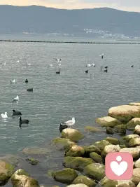 听海配图