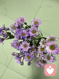 内在匮乏的根源，并不是因为我们经历了什么，真相恰恰相反！
如何#从缺的状态转为富足，向外给呢？[爱心]配图