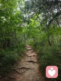 做决断的核心是分析利弊，优柔寡断是因为什么都想要“贪”！配图