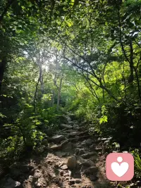 人们声称的最美好的岁月其实都是最痛苦的，只是事后回忆起来的时候才那么幸福。

——白岩松配图