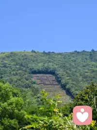为什么很多时候明明已经整合了创伤事件，但痛苦依旧存在？

只因我们只在外面的事情下功夫（事件整合），而#内部的核心状态没有去改变[爱心]配图