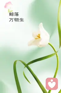 悟配图