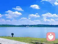 🔥你以为的“精神追求”，可能只是换了个地方找刺激。

🍀读书、旅游、音乐……如果内在的“贪”没变，跑遍世界也没用。

㊗️真正的成长，是看清“鸟笼原理”——放下不属于你的，划清边界，不与众生争利。配图