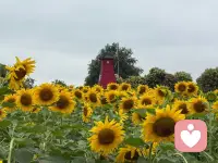 人要懂得惜福。
灵魂从投胎时一无所有，经历这一生要消耗掉很多的福报。惜福就是要跟人好好互动，把恶缘转成善缘，把善缘转成更大的善缘。配图