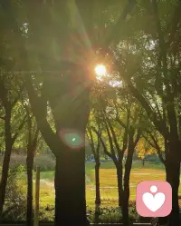 如何吃到有分别的爱：去其砒霜，吃下肉！因为世上的爱，大部分都是有分别的爱：真正能够做到无分别的爱的人，是极少数的。配图