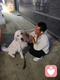佛道双修，无师自通，，修行修心，道家丹道内练，喜欢国学，，历史文化，心里学，，哲学，中医，修行修心，过情关开悟以后拥有他心通，，能知道别人的起心动念，照见别人的内心世界，，缓解焦虑内耗，配图