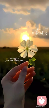 隐瞒式成全，从来不是家庭幸福

很多人被故事里牺牲式的爱意打动，可放到现实家庭生活中，依靠长期隐瞒、伪装换来的安稳，藏着巨大隐患，根本算不上真正的圆满。
 
健康的家庭关系，核心底色是坦诚与双向接纳。故事里男方伪装成逝者陪伴抑郁的女方，短期确实挽救了对方的生命，抚平了她的精神创伤，但这份建立在谎言之上的陪伴，会给两个人埋下长久的情感枷锁。
 
对于女方来说，她一辈子依靠虚假的念想生活，从未有机会看见身边人真实的爱意。她所有的温暖、感恩，全都交付给一个不存在的人，看似一生安稳，实则活在信息壁垒里。倘若未来真相意外暴露，支撑她活下去的精神支柱会瞬间崩塌，极易再次陷入严重情绪内耗，甚至引发更严重的心理问题。
 
而默默付出的一方，会长期陷入自我压抑。家庭本是释放脆弱、倾诉情绪的港湾，可他终身要藏起真实的自己，所有委屈、思念、付出都不能直白诉说。日复一日的单向牺牲，会慢慢滋生不甘与落寞，长期压抑的情绪无处宣泄，很难拥有松弛、舒适的家庭状态。
 
真正成熟的家庭成全，从不是牺牲自我、编织谎言。家人之间应当卸下伪装直面彼此，哪怕过往满是伤痛，也该以真实身份互相治愈。依靠隐瞒与伪装换来的平静只是暂时的，唯有双向坦诚、彼此看见真心，才能构筑长久稳固的家庭幸福。