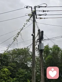 放不下也过不去，背叛后的内心拉锯
 
遭遇另一半背叛，最煎熬的从来不止背叛本身，而是长久陷入自我拉扯。理智想要抽身远离，情感却迟迟无法割舍；想原谅修复关系，心底的刺又时刻隐隐作痛，无数个夜晚失眠反复内耗。
 
很多人困在矛盾里，一边怀念过往的温情，一边无法忽视伤人的事实。我们总强迫自己尽快做出选择：要么彻底分开，要么选择释怀。却忽略了，伤痛的愈合本就需要时间，不必逼迫自己立刻给出答案。
 
你不必急着决定去留，先把注意力收回自己身上。暂时放下“该不该原谅”的纠结，看见当下失眠、焦虑、反复回想细节的痛苦，接纳自己暂时无法释怀。
 
同时要分清：放不下的是曾经的感情，还是不甘心的执念。一段出现背叛的关系，信任一旦破碎，重建需要双方共同努力。只有对方真诚承担责任，持续用行动弥补，修复才有意义。
 
不要独自反复咀嚼伤害，长期精神内耗，最先拖垮的是你的身心。允许自己难过，但别困在回忆里反复折磨自己。无论最后选择怎样走下去，优先守护好自己的情绪与人生。