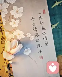 于人海里辗转，初次来到这里，寻一份安稳。配图