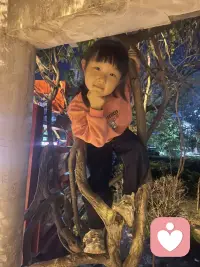 忙碌的生活中…总有一道光让你快乐的前行😂配图