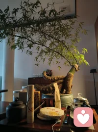 有时候需要安静，独处，改变心态有可能就在一瞬间。配图