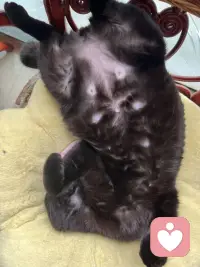看到他睡觉💤的姿势就想揍他立下，😂😂😂一副欠扁的样子配图