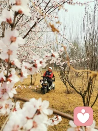 天气很好
心情美好