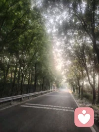 我希望有个如你一般的人
如山间清爽的风，如古城温暖的光
从清晨到夜晚，从山野到书房
等待不怕岁月蹉跎
只要最后是你就好
听闻远方有你，动身跋涉千里
我吹过，你吹过的风，
这算不算相拥
我走过你走过的路，
这算不算相逢
我还是喜欢你
从一而终，认真且怂！