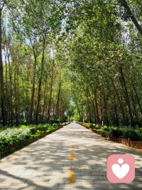 好的倾听师像什么?
 
昨天，一位即将入行的倾听师学员问我：“培峰老师，你觉得好的倾听师像什么？”
 
这个问题让我静静深思，心底瞬间浮现出诸多答案，我这样回答她：
 
像一面镜子：不带偏见评判，如实照见内心真实
更像一只容器：全然容纳情绪，给予十足安全感
亦是一座灯塔：照亮前行前路，从不代替他人赶路
一位暖心园丁：尊重成长节奏，温柔陪伴静待花开
一根贴心拐杖：短暂给予支撑，帮人重拾前行力量
如一汪清泉：抚平内心焦躁，涤荡心底万般烦忧
恰似一阵清风：吹散心头阴霾，送来舒心自在平和
 
所有温柔走心的倾听与陪伴，从不是长久依附，而是用心托举，最终让每一个人都能依靠自己，从容坚定地走好往后人生路。
 
你心中的倾听师，又是什么模样？