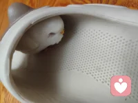 幸福小鸟配图