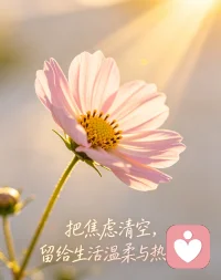 把焦虑清空，留给生活温柔与热爱配图