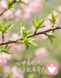 心中有盼头，日子就有奔头配图