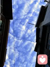 世间温柔皆可共享，不管是难过焦虑，还是开心琐事，随时都能来找我倾诉。
耐心听你所有故事，温柔回应每一份情绪～配图