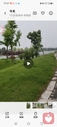 童年的创伤，也是可以疗愈的，就像我的一生没有多少好的光景。小的时候父母贬损打压，别人的看不起，大了嫁了看不起我的负心汉，死里逃生走出来。后来以为遇到良人，哪知是把自己推进了被索取的深渊。打压贬损指责，消耗，等等还有生活中的许许多多的变故，但我从来没放弃过生活，我知道只要放弃就是自我灭亡，所以我不能放弃，反之，我将对我的不公变成造就我磨刀石。感谢一切的遇见。配图