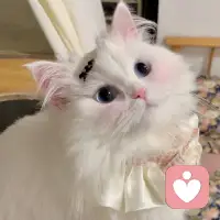 无聊中该怎么度过配图