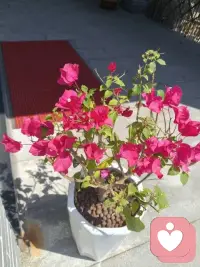 人这一生，遇见心动容易，遇见懂得太难。
我们都在人前假装坚强，把委屈藏进深夜的沉默里，明明心里满是疲惫，却还笑着告诉所有人我没事。后来才慢慢明白，缘分不由人，人心留不住。不必纠结那些走散的人，也不必执念没圆满的结局。
余生，好好善待自己，允许遗憾存在，接受世事
无常，余生，只求心安，不求圆满。配图