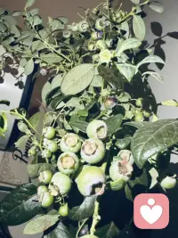 愛上自己。配图