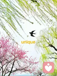 「愛自己是終身的浪漫。」配图