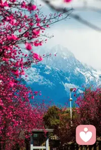“生命力”的真正意思，绝不是仅仅是活着的意思。是流淌奔腾的意思；是缤纷绽放的意思；是平静浩瀚的意思。配图