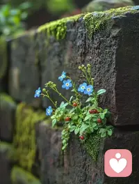 自己才是
这细碎生活里唯一的光
愿努力生活的人
各有各的风雨灿烂配图