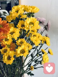 要特别感谢那种能让自己变得更真实，更干净和纯粹的人，能让自己平静下来的人。
 
这个时代，混乱、焦虑、浮夸、浅尝辄止易得，干净、纯粹、平静和深情，最不易得。配图