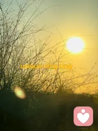 我越是沉没在痛苦的深井里，痛苦似乎变得就越深。

———星星《宇宙深愛的孩子》配图