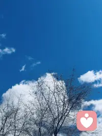 花有花期，人有时运，要努力，但别着急，繁花似锦，硕果累累都需要过程。 

杨绛先生配图