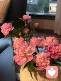 情绪需要被听见，我在这里等你，早安😊