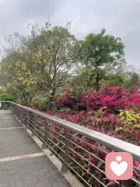 在我困惑的时候，在我最痛苦的时候，我找到了一个向上的力量，让我绝地重生配图