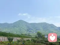 你的心才是你生活最好的良药