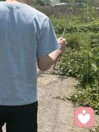 你的心才是你生活最好的良药