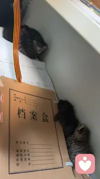 该吃吃，该喝喝配图