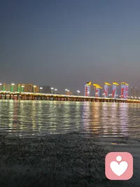 巷子里的猫，很自由却没有归宿；围墙里的狗，有归宿却终身都得低头。配图