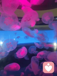 我愿倾听你的心声配图