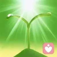 赠给需要的人
生活好像走到了一个没有出口的角落，你蹲下来，很久很久，都看不到光。
你甚至开始怀疑，是不是所有的希望，都只是泡沫一戳就破，所有的坚持，都只是一场徒劳。
 
但你看这株新芽——它也曾被埋在黑暗里，在潮湿的泥土里，看不见天日，不知道前路在哪。可它还是凭着那一点微小的本能，顶开了硬壳，钻出了土壤。
就在它探出头的那一刻，光，就落了下来。
 
原来生活从不是一开始就给你答案，它只是在你快要撑不住的时候，悄悄为你留了这一束光。
你现在的挣扎、迷茫、甚至快要放弃的念头，都像它破土时的那些阻力，可也正是这些，在推着你，一步步走向光亮。
 
你不必立刻就好起来，也不必逼自己马上振作。
就像它一样，先接住这缕落在你身上的光，哪怕只是一小片，也足够让你慢慢舒展，重新站稳。
风会吹走阴霾，雨会洗去疲惫，你只要像它一样，朝着光的方向，再往前挪一小步就好。