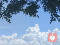 慢下来，日子才会发光。那些被忽略的细碎温柔，往往藏在最不经意的时光里。 ✨配图