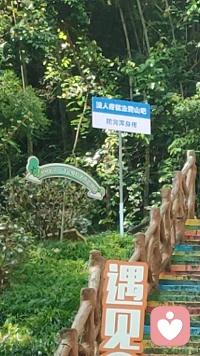 不紧不慢，自有节奏。不必追赶别人的脚步，按照自己的频率前行就好。配图