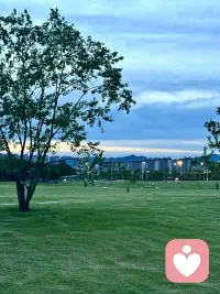 爱不是寻找完美的人，而是学会用完美的眼光看待不完美的人。配图