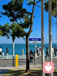 万物皆不完美，人生总有缺憾。喜欢就争取，得到就珍惜，失去就忘记。别给情绪加滤镜，健康快乐即顶配。配图