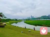 不必纠结当下，也不必忧虑未来，花会沿路盛开，你以后的路也是温柔坦荡。配图